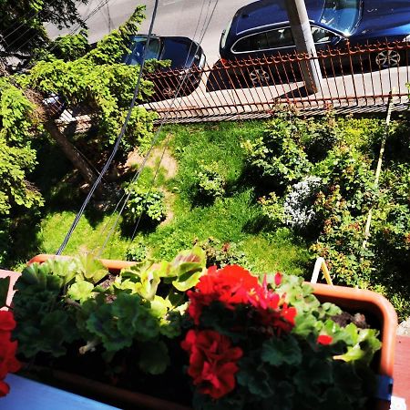 Apartament Hunter Apartment Клуж-Напока Екстериор снимка