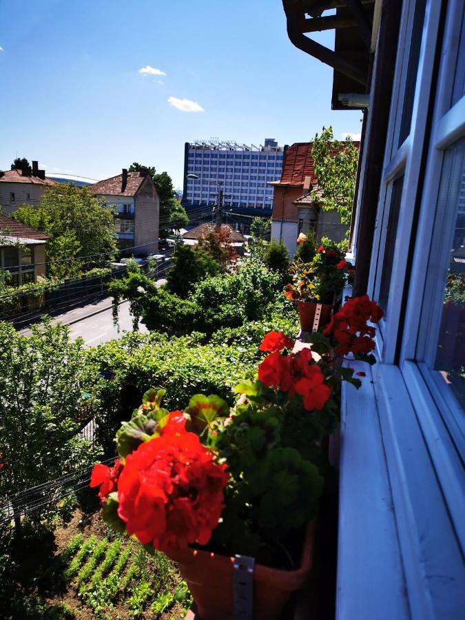 Apartament Hunter Apartment Клуж-Напока Екстериор снимка