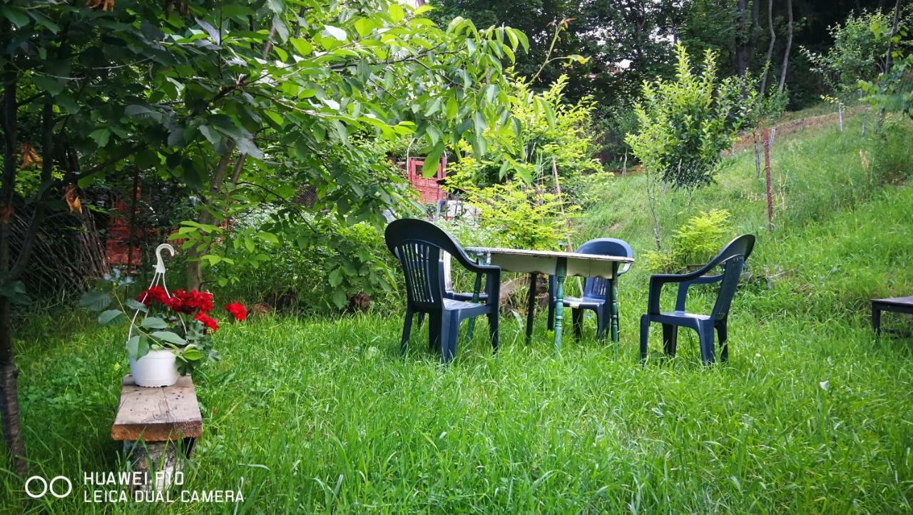 Apartament Hunter Apartment Клуж-Напока Екстериор снимка