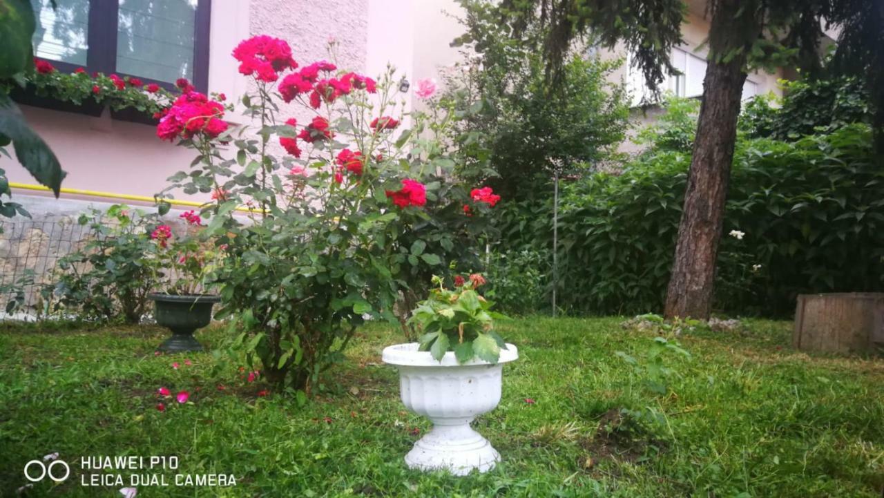 Apartament Hunter Apartment Клуж-Напока Екстериор снимка